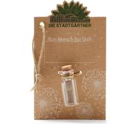 Die Stadtgärtner - Piccolo desiderio riempitivo I vero ombrellone in vetro I eternamente durevole I perfetta idea regalo per ogni occasione, regalo per compleanno, matrimonio, festa della mamma,
