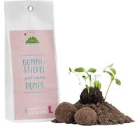 Die Stadtgärtner Bombe di Semi - Figli dei Fiori - 1 set