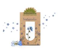 Die Stadtgärtner "Donatore di consolazione I non dimenticarmi in vetro come regalo di conforto in tempi difficili, regalo di addio per amici, insegnante e regalo per incoraggiare, fatto a mano in