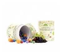 Die Stadtgärtner Flower Marbles Natural Adventure Biglie di fiori l'originale 100 bombe di semi, regalini di compleanno per bambini