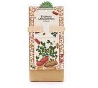 Die Stadtgärtner Mini Giardino - Arachidi - 1 pz.