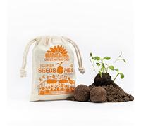 Die Stadtgärtner Seedbombs "Palle da vaso" I 8 bombe fatte a mano con 5 varietà di semi di fiori, ideali per vasi di fiori e vasi da balcone, con semi ecologici e durata minima 2 anni