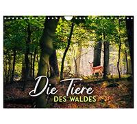 Die Tiere des Waldes (Wandkalender 2026 DIN A4 quer), CALVENDO Monatskalender: Ein Ausflug in die Märchenwälder dieser Welt.