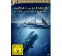 Die Wale von Atlantis - Auf der Suche nach Moby Dick