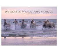 Die weißen Pferde der Camargue (Wandkalender 2026 DIN A2 quer), CALVENDO Monatskalender: Kraft - Eleganz - Ästhetik