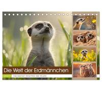 Die Welt der Erdmännchen (Tischkalender 2027 DIN A5 quer), CALVENDO Monatskalender: Dieser liebevoll gestaltete Wandkalender begleitet dich durch das ... der wohl neugierigsten Tiere der Wüste.
