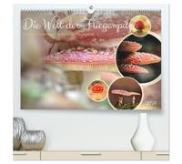 Die Welt der Fliegenpilze (hochwertiger Premium Wandkalender 2026 DIN A2 quer), Kunstdruck in Hochglanz: Fliegenpilze in verschiedenen Perspektiven.