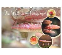 Die Welt der Fliegenpilze (Wandkalender 2026 DIN A3 quer), CALVENDO Monatskalender: Fliegenpilze in verschiedenen Perspektiven.