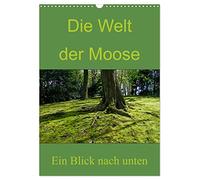 Die Welt der Moose. Ein Blick nach unten (Wandkalender 2026 DIN A3 hoch), CALVENDO Monatskalender: Weitere Kunstwerke rund um das Thema Moos von Dominik Lewald