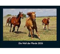 Die Welt der Pferde 2026 Fotokalender DIN A4: Monatskalender mit Bild-Motiven vom Sport, Fussball, Hockey, Football, Handball, Schwimmen