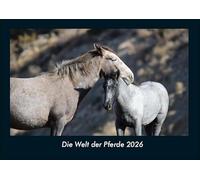 Die Welt der Pferde 2026 Fotokalender DIN A4: Monatskalender mit Bild-Motiven von Haustieren, Bauernhof, wilden Tieren und Raubtieren
