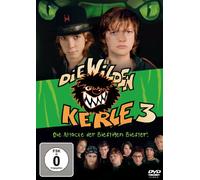Die wilden Kerle 3