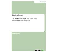 Die Wirkungstreppe von Phineo im Rahmen sozialer Projekte