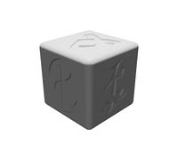 Die with Shadowhunters Runes - Decorative Display Piece - Cassandra Clare Series