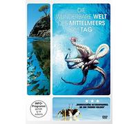 Die wunderbare Welt des Mittelmeers am Tag