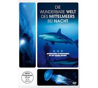 Die wunderbare Welt des Mittelmeers bei Nacht