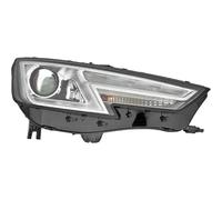 DIEDERICHS 1020980 Faro anteriore