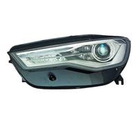 DIEDERICHS 1028283 Faro anteriore