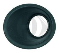DIEDERICHS 3452862 Cornice Fendinebbia Destra nero