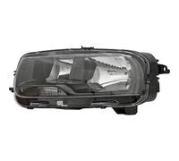 DIEDERICHS 4073481 Faro anteriore