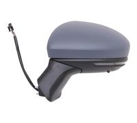 SPECCHIO RENAU LI. CAPTUR, 2020- 7 PIN