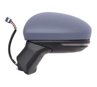 SPECCHIO RENAU LI. CAPTUR, 2020- 10 PIN