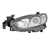 DIEDERICHS 5627081 Faro anteriore