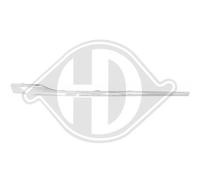 DIEDERICHS Cer Listello di Protezione Paraurti Frontale Dx per VW Passat Variant