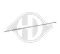DIEDERICHS Cer Listello di Protezione Paraurti Posteriore per Renault Clio V Bf
