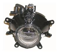 DIEDERICHS Fari Antinebbia NSW Doppio Per BMW 3er Touring E46 1215088