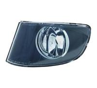 Diederichs Fendinebbia 1216589 Sinistro per BMW Serie 3 (E92/E93) 06-10 Lampada H8 esclusa