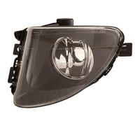 DIEDERICHS Fari Fendinebbia Destra H8 per BMW 5er Touring F11 F10 F18