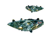 DIEDERICHS Fari Sinistro Destro H1 H7 Per Peugeot 307 3A/C 3E 3H
