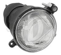 Diederichs Fendinebbia Q0002902V002000000 (1605088) destro o sinistro 98-04 H3 per Smart City-Coupe