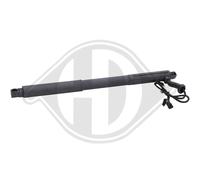 DIEDERICHS Gasfeder Dämpfer Heckklappe Hinten Destra Adatta Per BMW X5 E70