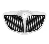 DIEDERICHS Griglia Radiatore Adatta Per Lancia Ypsilon 843 1.2 1.4 16V