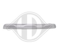DIEDERICHS Mostrina, Paraurti 4407066 hinten | Compatibile con: RENAULT CAPTUR II