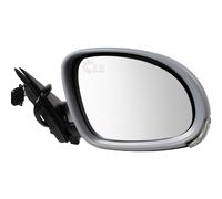 Diederichs Specchietto Dx per VW Passat Variant 3B6