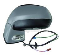 DIEDERICHS Specchio retrovisore esterno compatibile con CITROËN 4072725