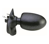 DIEDERICHS Specchio Esterno Destro Per Renault Twingo I C06