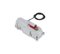 Dieffematic FAAC 770N Motore Interrato per Cancelli a Battente - Attuatore Elettromeccanico 230V, Invisibile, Ante 3.5m 500kg, IP67