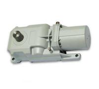 Dieffematic GENIUS ROLLER 24V 6170080 - Attuatore Motore Interrato per Cancello Battente - Resistente a Salsedine, Ante Fino a 3m