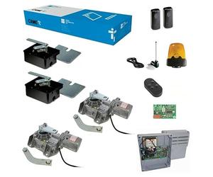 Dieffematic Kit Completo Came Frog-AE - Automazione Cancello Battente 230V, Motori Interrati con Casse di Fondazione