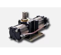 Dieffematic MARTINETTO Apertura 180° per ATTUATORE OLEODINAMICO 230V 750 FAAC 108760