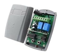 Dieffematic RX2N-BOX Ricevente Radio Bicanale - Compatibile Nice Came Ditec, Miniaturizzata 12-24V 433.92 MHz con Antenna