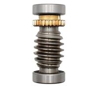 Dieffematic Vite Senza Fine Originale CAME 119RIA016 per Motoriduttore Automazione Cancelli FROG-A