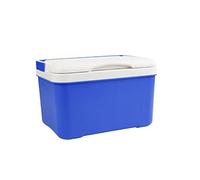 DieffematicBX Frigorifero Piccolo 6L Car Fridge Travel Refrigerator Mini Fridges for Car Home Portable Refrigerator Milk Food Carrier with Handle