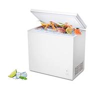 DieffematicBX Frigorifero Piccolo Congelamento rapido Piccolo congelatore domestico Grande capacità Congelamento completo Piccolo congelatore a doppia temperatura a doppia temperatura a doppio uso Min