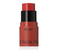 Diego Dalla Palma All In One Blush (N.43 Rosa)
