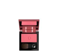 Polvere Compatta Guance - 22 Rosa acceso